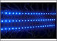 5730 module 3LED bleu des lumières DC12V SMD 5730 LED de LED imperméable pour la couleur de bleu de viseur de conseil de publicité fournisseur