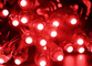 50 pièces par lot DC5V 12mm RED Module LED Corde étanche numérique RED IP68 LED Pixel Light Décoration de Noël fournisseur