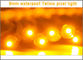 50 pièces/rouleaux Couleur jaune LED Pixel String Light 9mm Led DC5V étanche à l'eau LED lumière de Noël fournisseur